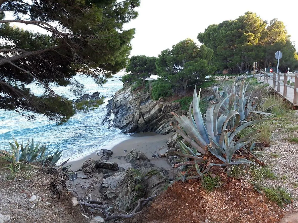 Apt Mar I Cel Llançà